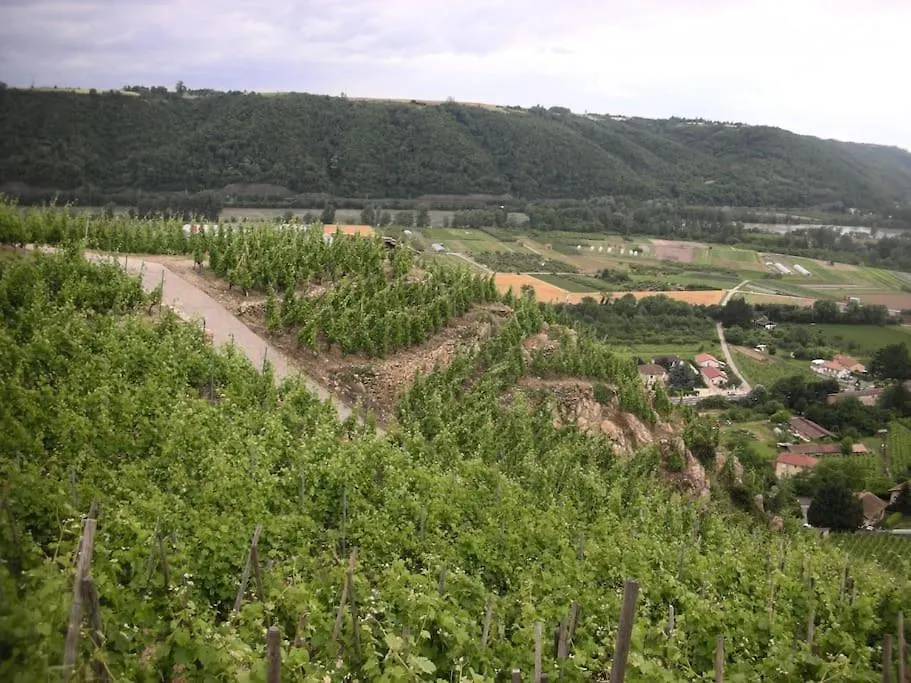 La Villa Noyau Doux Ampuis 0*,